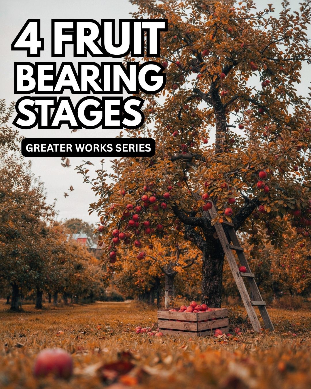 4 Fruit Bearing Stages (Greater Works)